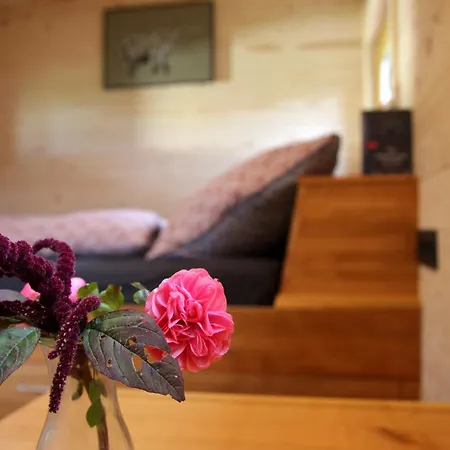 Casa vacanze Tinyhaus Kirsch